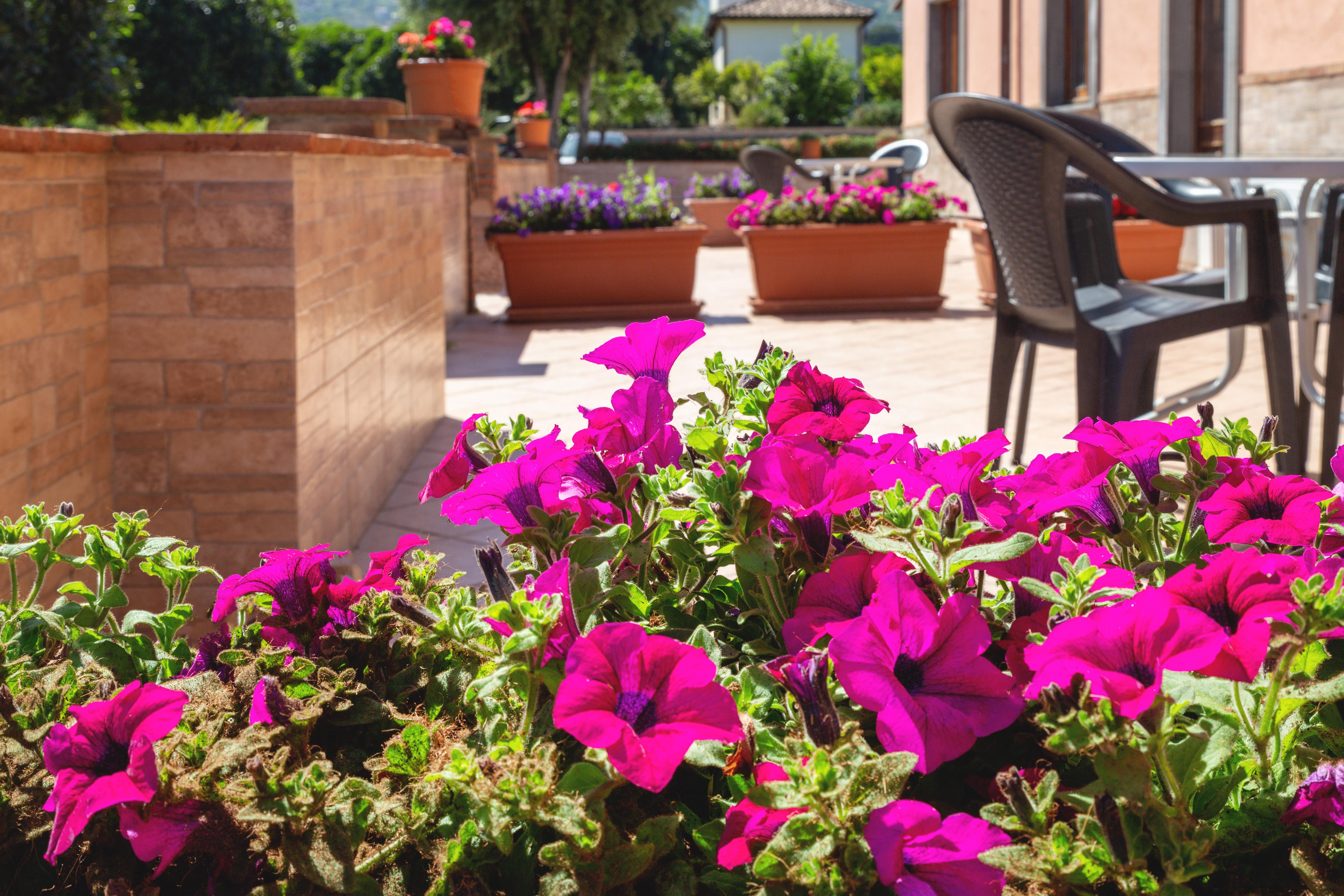 La Terra Dei Sogni Country Hotel