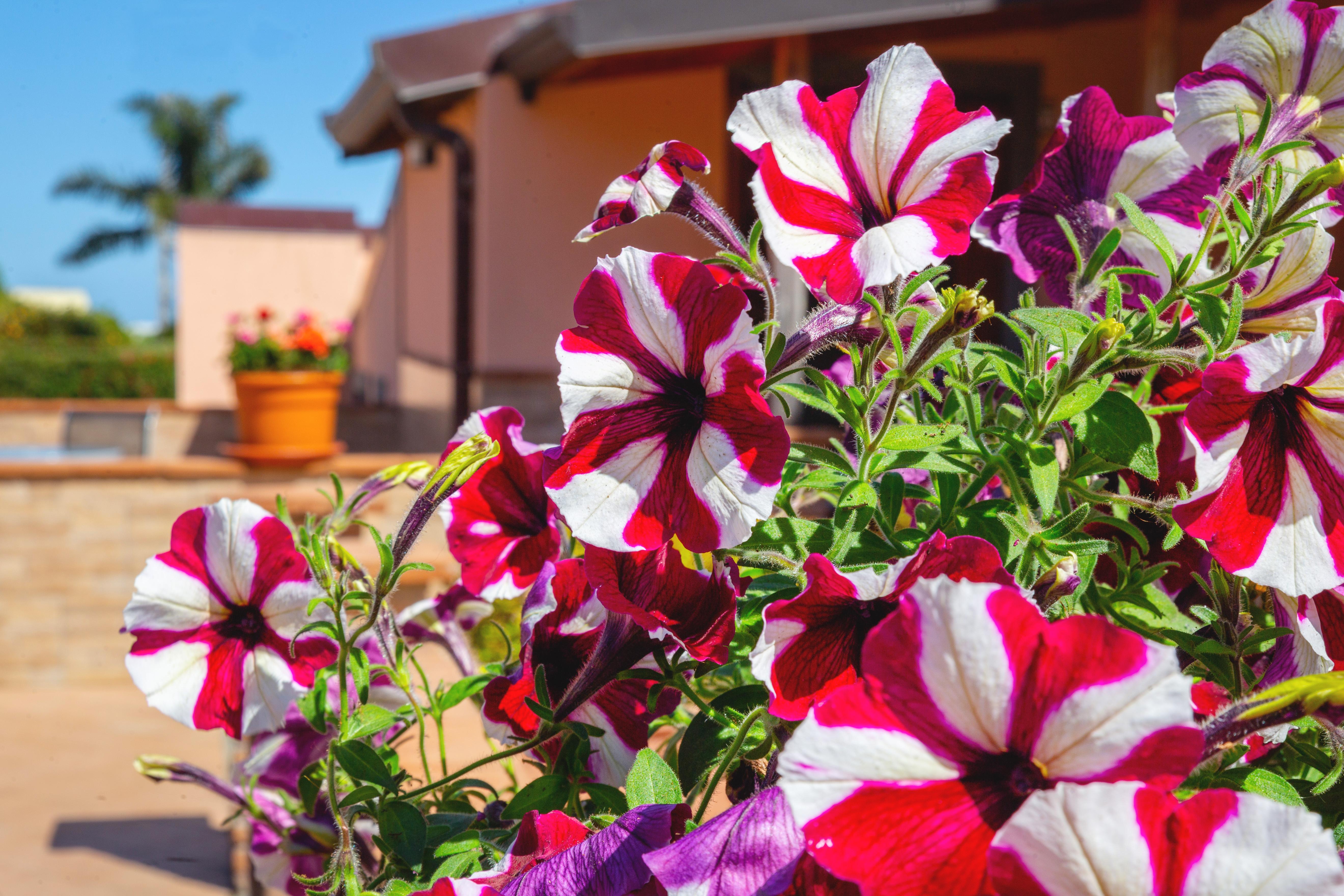 Hotel La Terra Dei Sogni Country Fiumefreddo di Sicilia